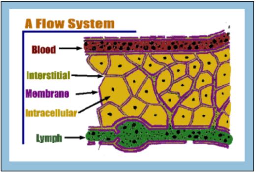 flow-map