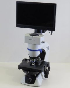 Video Only w/Screen