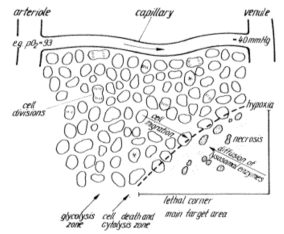 vo2t-map vo2t-map