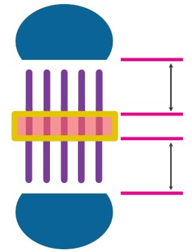 UVBI distance UVBI distance