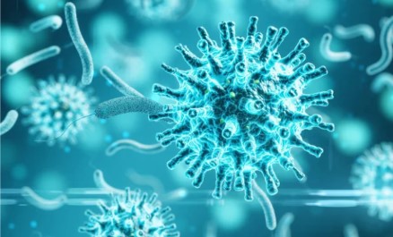 UVBI lyme mrsa bartonella UVBI lyme mrsa bartonella
