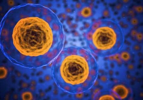 blog-biology-of-disease